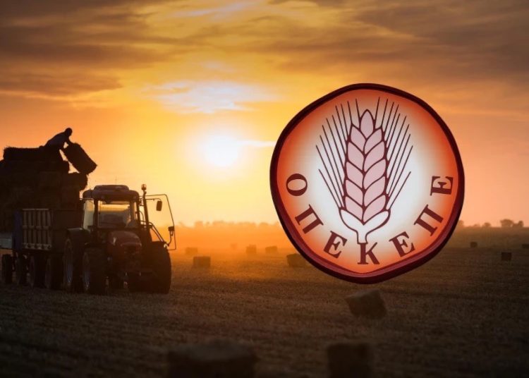 Χάρτης ΟΠΕΚΕΠΕ: Τα ΑΦΜ που πήραν παράνομες επιδοτήσεις ανά περιφέρεια – Η εικόνα στη Θεσσαλία